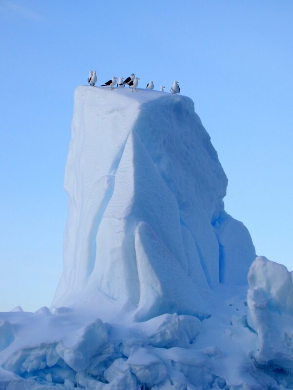 antarctica, ice, iceberg