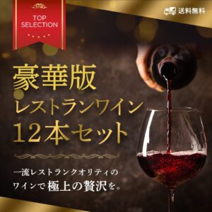 豪華版12本New